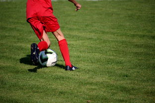 九游app下载中心-篮球运动员训练负荷智能监控系统研发及应用，基础阶段篮球训练负荷安排